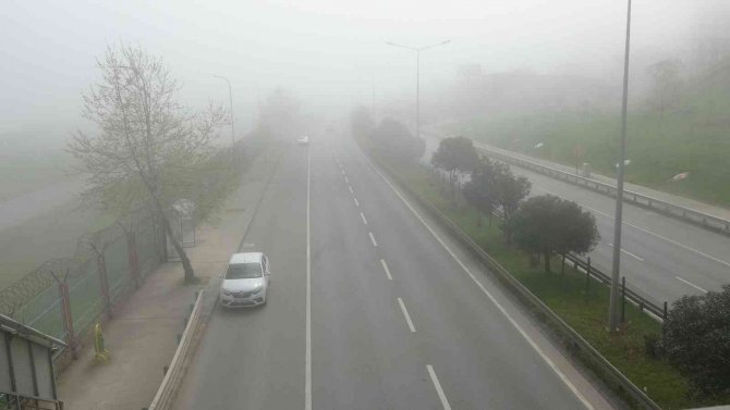 Trabzon’da Sis Hayatı Olumsuz Etkiliyor