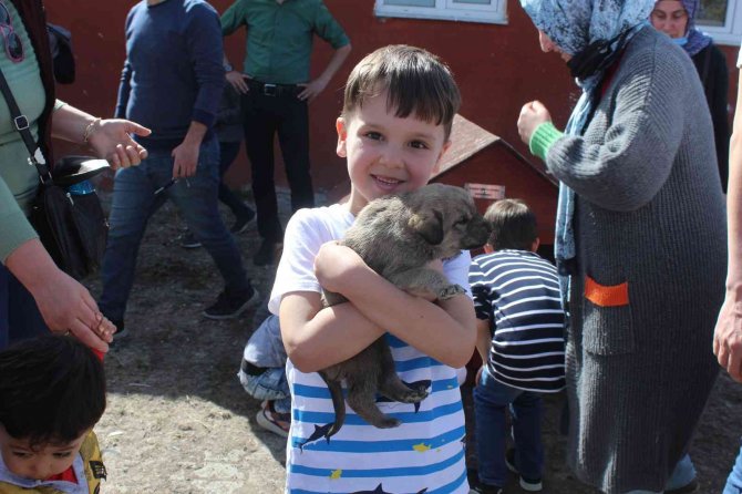 23 Nisan Etkinlikleri Çerçevesinde Anaokulu Öğrencileri Hayvan Barınağını Ziyaret Etti
