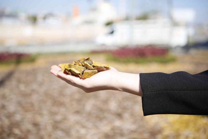 Akdeniz Belediyecilik Proje Yarışması’nda Büyükşehir’e Çevre Ödülü