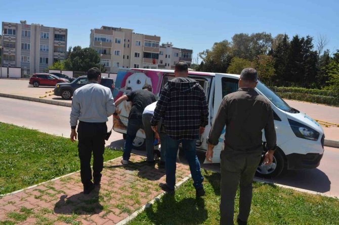 İ̇zmir’de Pitbull Dehşeti
