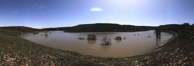 Kars’ta Ağaçlar Baraj Suyu Altında Kaldı