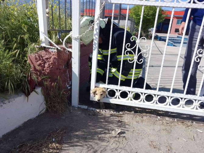 Manisa İ̇tfaiyesi Sevimli Dostların Yardımına Koştu