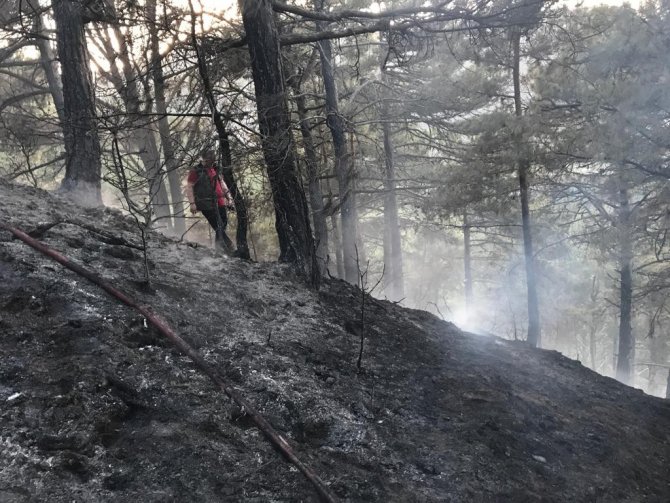Manisa’da 30 Dekar Karaçam Ormanı Yandı