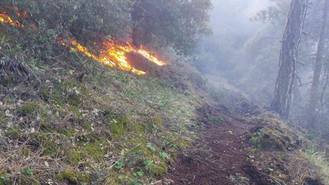 Manisa’da 30 Dekar Karaçam Ormanı Yandı