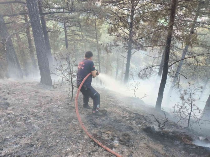 Manisa’da Orman Yangını