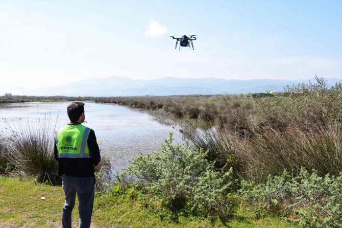 Vektörle Havadan Mücadele