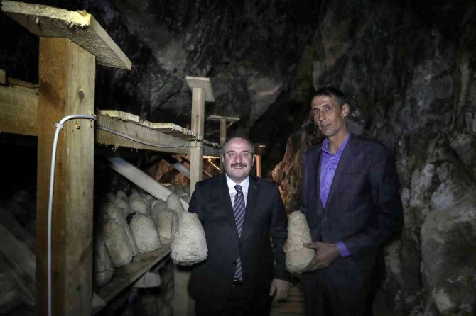 Bakan Varank: "Divle Peynirinin Daha Fazla Üretilmesi Ve Daha İyi Tanıtılması İçin Desteklerimizi Vermeye Devam Edeceğiz"