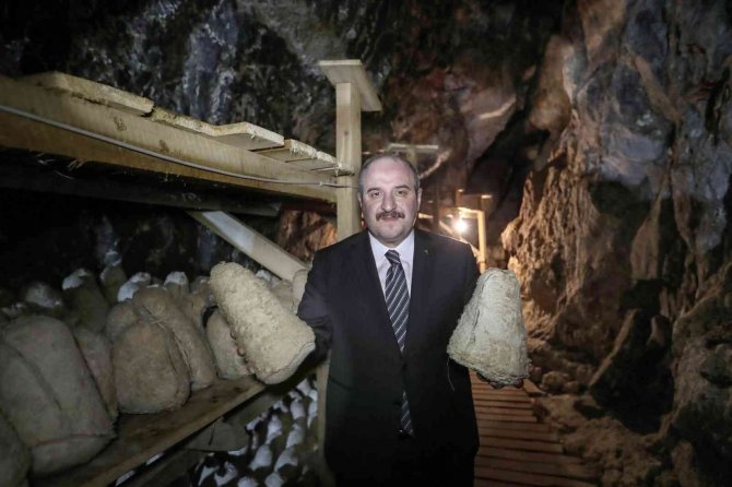 Bakan Varank: "Divle Obruk Peynirinin Kapasitesini Arttırmayı Hedefliyoruz"