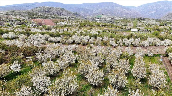 Binlercesi Çiçek Açtı, Beyaz Gelinliğini Giydi