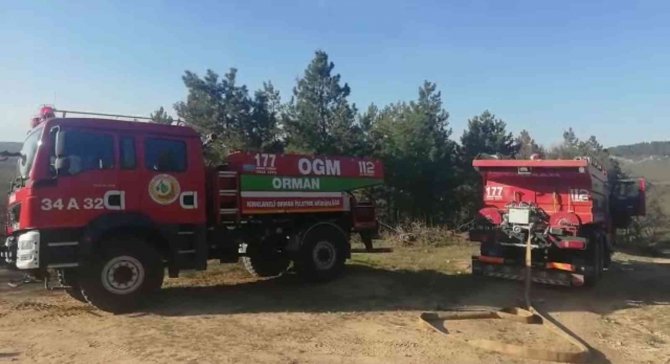 Kırklareli’nde Orman Yangını: 12 Dekar Alan Zarar Gördü