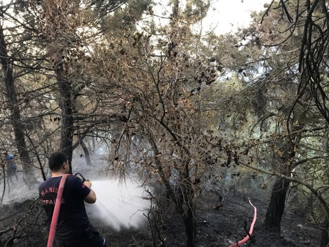 Manisa’da 30 Dekar Karaçam Ormanı Yandı