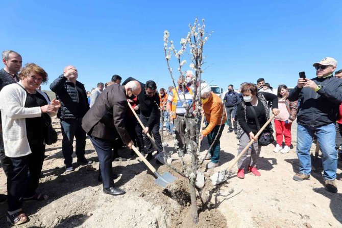 500 Meyve Fidanı Toprakla Buluştu