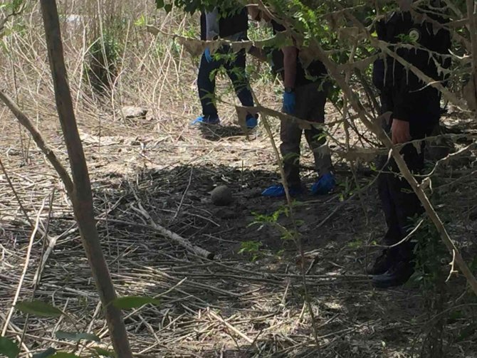 Adana’da Kafatası Ve İnsan Bedeni Parçaları Bulundu
