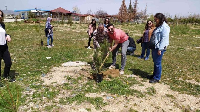 Üniversite Hatıra Ormanı Oluşturdular