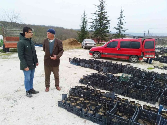 ‘Süper Meyve’ Aronya Kırklareli’nde Yetişecek