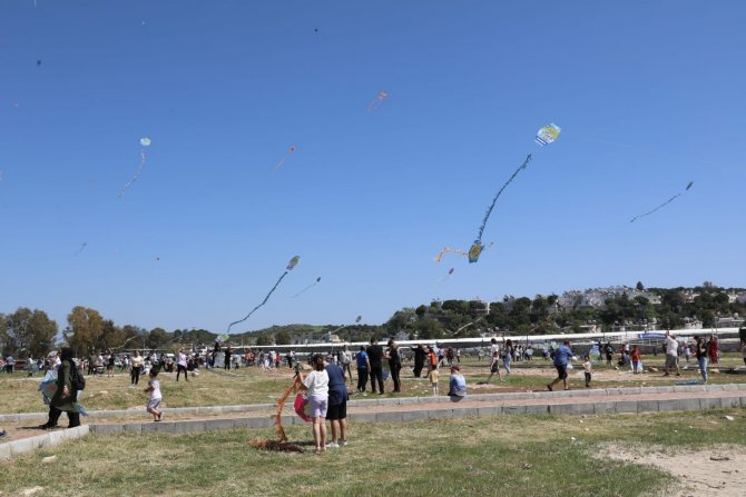 Didim’de Gökyüzü Yüzlerce Uçurtma İle Renklendi