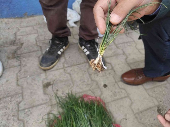 Bu Otun Kilosu Bin Liradan Yok Satıyor