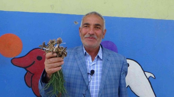 Bu Otun Kilosu Bin Liradan Yok Satıyor