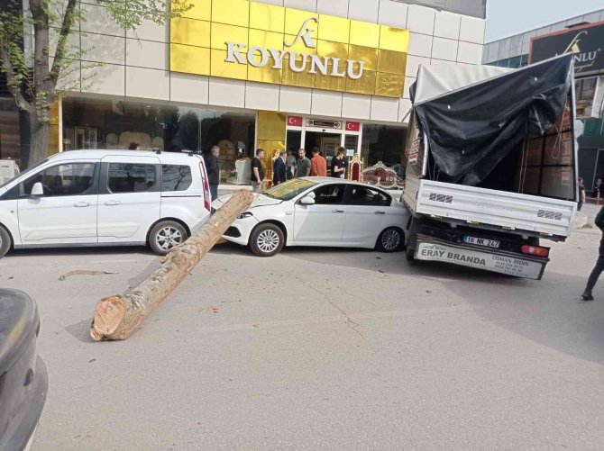 Kamyonun Üzerinden Düşen Tomruk Üç Aracı Ezdi