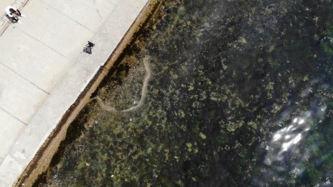 Kadıköy’de Müsilajı Andıran Görüntü