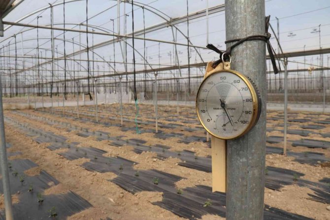 Ucuz Sebze İçin Geri Sayım Başladı