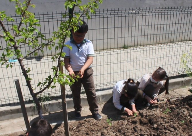 İ̇lkokul Öğrencisinden Gülümseten Yorum: "Yetiştirdiğim Domateslerden Menemen Yapacağım"