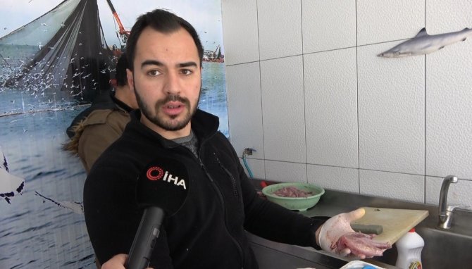 Denizin Isınmasıyla ’Çarpan’ Balığı Kendini Gösterdi