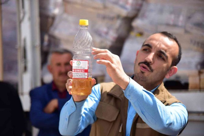 Demirci Kirazı, Büyükşehir Desteği İle Zararlılardan Korunacak