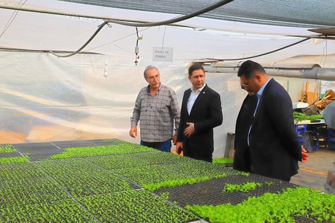 Mhp’li Bulut, Ata Tohumuna Dikkat Çekti