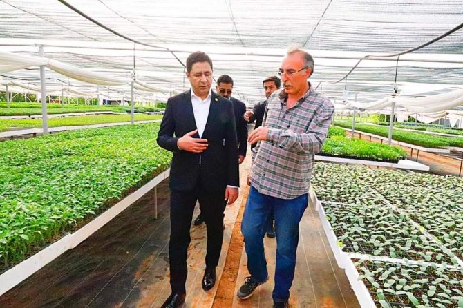 Mhp’li Bulut, Ata Tohumuna Dikkat Çekti