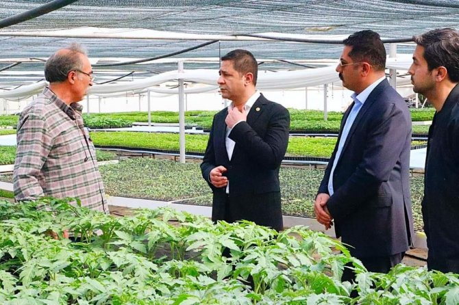 Mhp’li Bulut, Ata Tohumuna Dikkat Çekti