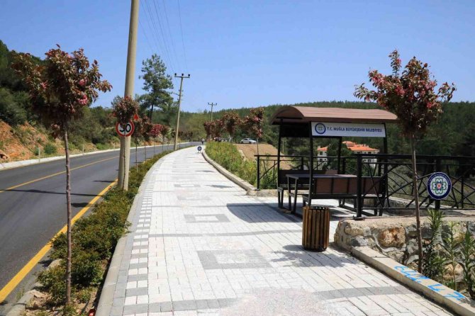 Ula’da Ağaçlandırma Çalışmaları Tamamlandı