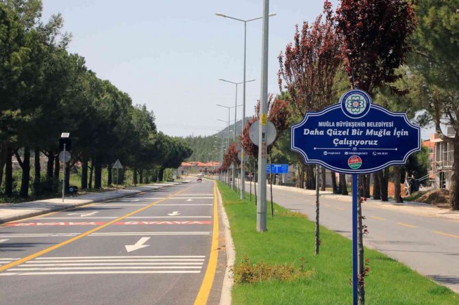 Ula’da Ağaçlandırma Çalışmaları Tamamlandı