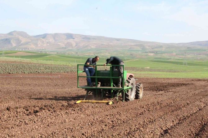 Siirt’te Patates Tohumu Deneme Ekimi Yapıldı