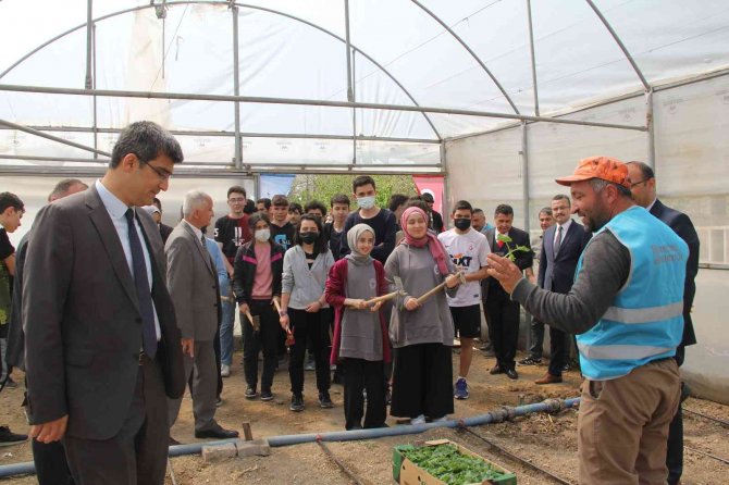 Hükümlüler Sebze Üretimi Yaparak Meslek Edinecek