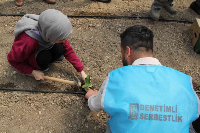 Hükümlüler Sebze Üretimi Yaparak Meslek Edinecek