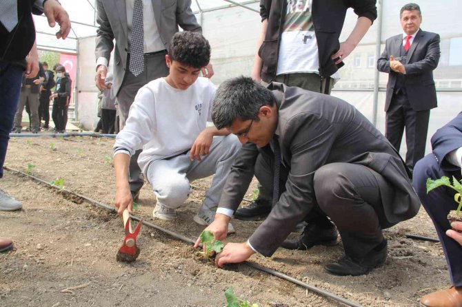 Hükümlüler Sebze Üretimi Yaparak Meslek Edinecek
