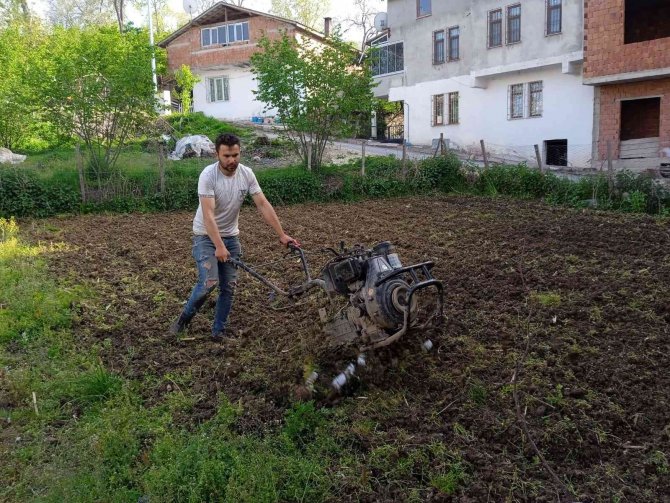 Tarlalarda Çapalama İşlemi Başladı