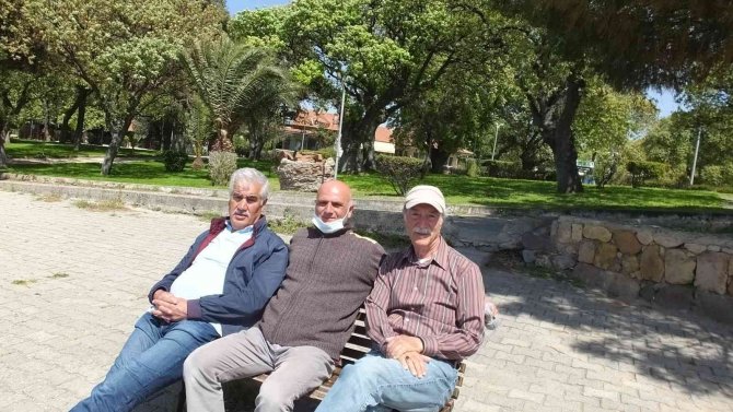 Balıkesir’de Tarihi Meşe Ağaçlarının Yeşillenmesi İle Renk Cümbüşü Yaşanıyor