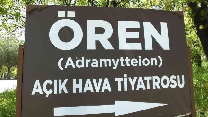 Balıkesir’de Tarihi Meşe Ağaçlarının Yeşillenmesi İle Renk Cümbüşü Yaşanıyor