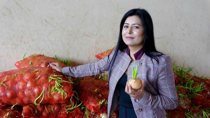 Çimlenmiş Soğan, Patates Ve Sarımsak Seferberliği