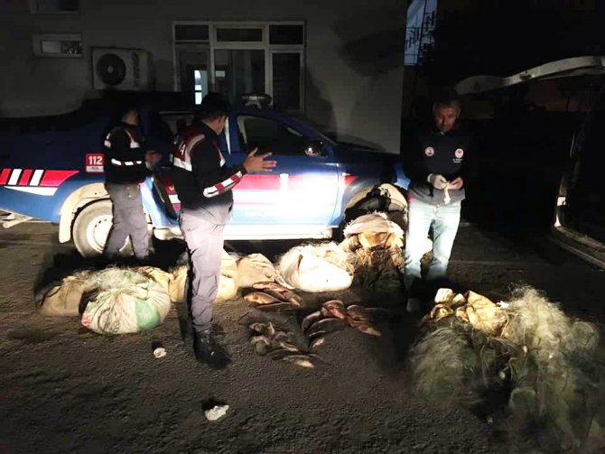 Sinop’ta Yasak Avcılık Yapan İki Şahıs 40 Kilo Sazanla Yakalandı