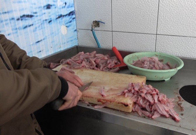 Denizin Isınmasıyla ’Çarpan’ Balığı Kendini Gösterdi