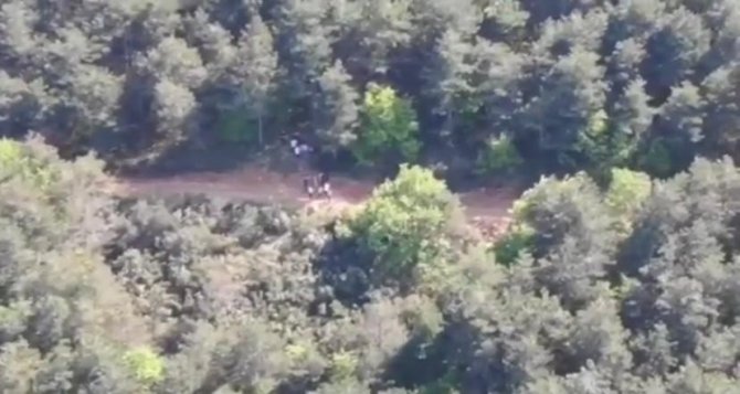 Ormanda Silahla Ateş Edenler Dronla Yakalandı, Polis Cezayı Kesti
