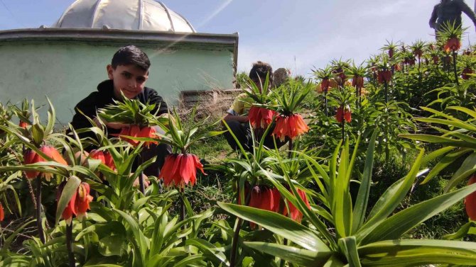 Seyredene Bedava, Koparana 109 Bin 593 Lira Ceza