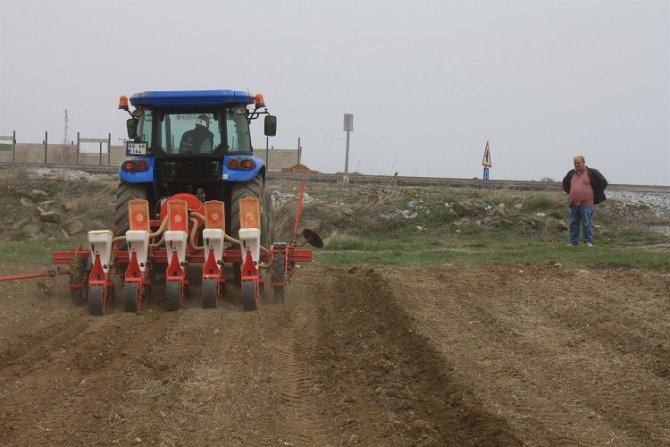 Yozgat’ta Kuru Bezelye Deneme Ekimi Yapıldı