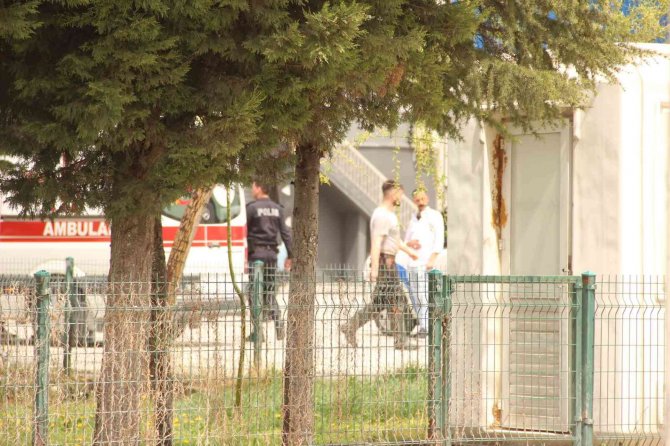 Hayvan Kesimi Bırakıp Kavgaya Tutuştular
