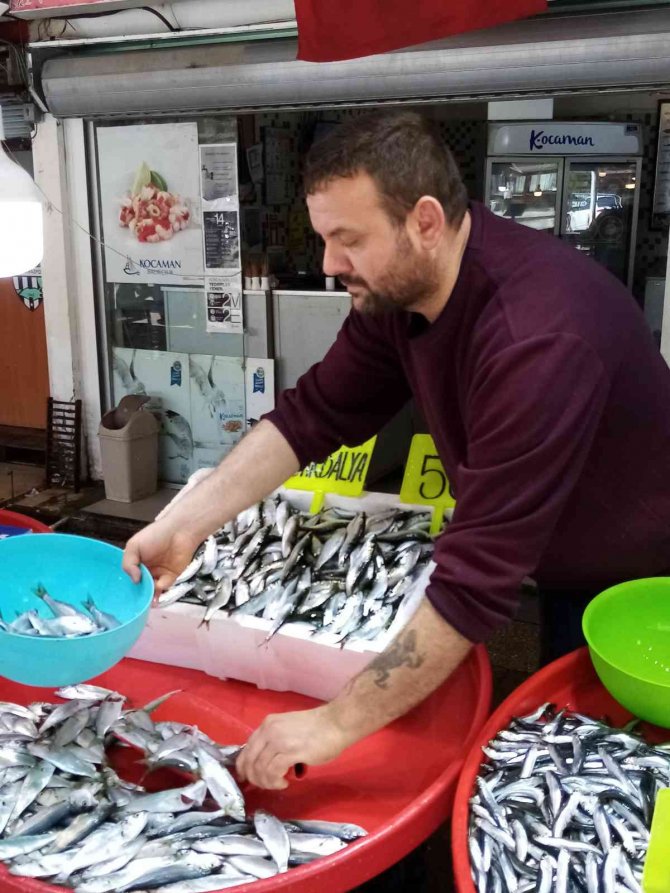 Bandırma Balık Halinde Balık Miktarı Arttı, Fiyatları Düştü