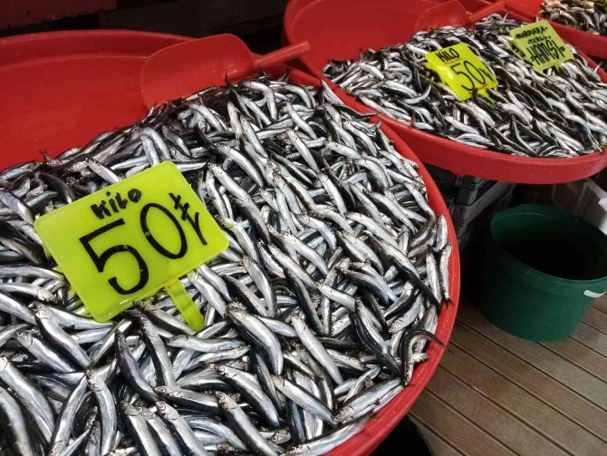 Bandırma Balık Halinde Balık Miktarı Arttı, Fiyatları Düştü