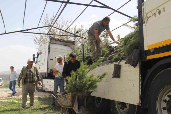 Bünyan’da 20 Bin Fidan Toprakla Buluşturacak